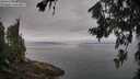 ./images/koeye/fitz-hugh/20260717/fitz-hugh20260717_103001M.jpg