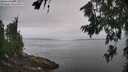 ./images/koeye/fitz-hugh/20260717/fitz-hugh20260717_104001M.jpg