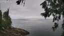 ./images/koeye/fitz-hugh/20260717/fitz-hugh20260717_104501M.jpg