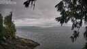 ./images/koeye/fitz-hugh/20260717/fitz-hugh20260717_112001M.jpg