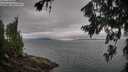 ./images/koeye/fitz-hugh/20260717/fitz-hugh20260717_113001M.jpg