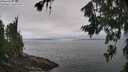 ./images/koeye/fitz-hugh/20260717/fitz-hugh20260717_114001M.jpg