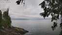 ./images/koeye/fitz-hugh/20260717/fitz-hugh20260717_115002M.jpg