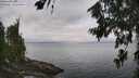 ./images/koeye/fitz-hugh/20260717/fitz-hugh20260717_115501M.jpg
