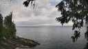 ./images/koeye/fitz-hugh/20260717/fitz-hugh20260717_121501M.jpg