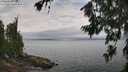 ./images/koeye/fitz-hugh/20260717/fitz-hugh20260717_122001M.jpg