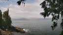 ./images/koeye/fitz-hugh/20260717/fitz-hugh20260717_124001M.jpg
