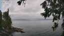./images/koeye/fitz-hugh/20260717/fitz-hugh20260717_133501M.jpg
