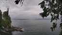 ./images/koeye/fitz-hugh/20260717/fitz-hugh20260717_134001M.jpg