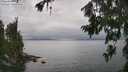 ./images/koeye/fitz-hugh/20260717/fitz-hugh20260717_142002M.jpg