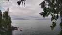 ./images/koeye/fitz-hugh/20260717/fitz-hugh20260717_143501M.jpg