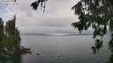 ./images/koeye/fitz-hugh/20260717/fitz-hugh20260717_144501M.jpg