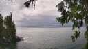 ./images/koeye/fitz-hugh/20260717/fitz-hugh20260717_152001M.jpg