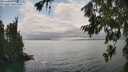 ./images/koeye/fitz-hugh/20260717/fitz-hugh20260717_154502M.jpg