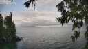 ./images/koeye/fitz-hugh/20260717/fitz-hugh20260717_155001M.jpg