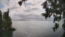 ./images/koeye/fitz-hugh/20260717/fitz-hugh20260717_162502M.jpg