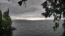 ./images/koeye/fitz-hugh/20260717/fitz-hugh20260717_165001M.jpg