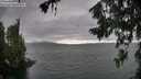 ./images/koeye/fitz-hugh/20260717/fitz-hugh20260717_170502M.jpg