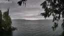 ./images/koeye/fitz-hugh/20260717/fitz-hugh20260717_172001M.jpg
