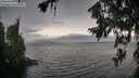 ./images/koeye/fitz-hugh/20260717/fitz-hugh20260717_173501M.jpg