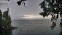 ./images/koeye/fitz-hugh/20260717/fitz-hugh20260717_174501M.jpg