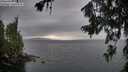 ./images/koeye/fitz-hugh/20260717/fitz-hugh20260717_181001M.jpg