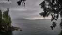 ./images/koeye/fitz-hugh/20260717/fitz-hugh20260717_183501M.jpg