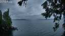 ./images/koeye/fitz-hugh/20260718/fitz-hugh20260718_053001M.jpg