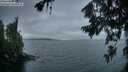 ./images/koeye/fitz-hugh/20260718/fitz-hugh20260718_054501M.jpg