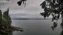./images/koeye/fitz-hugh/20260718/fitz-hugh20260718_064502M.jpg