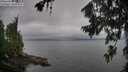 ./images/koeye/fitz-hugh/20260718/fitz-hugh20260718_073001M.jpg