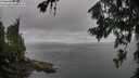 ./images/koeye/fitz-hugh/20260718/fitz-hugh20260718_075502M.jpg