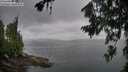 ./images/koeye/fitz-hugh/20260718/fitz-hugh20260718_080001M.jpg