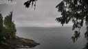 ./images/koeye/fitz-hugh/20260718/fitz-hugh20260718_084001M.jpg
