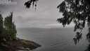 ./images/koeye/fitz-hugh/20260718/fitz-hugh20260718_084502M.jpg