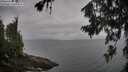 ./images/koeye/fitz-hugh/20260718/fitz-hugh20260718_085001M.jpg