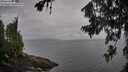 ./images/koeye/fitz-hugh/20260718/fitz-hugh20260718_085501M.jpg