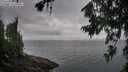 ./images/koeye/fitz-hugh/20260718/fitz-hugh20260718_093001M.jpg