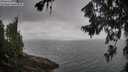 ./images/koeye/fitz-hugh/20260718/fitz-hugh20260718_102501M.jpg
