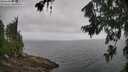 ./images/koeye/fitz-hugh/20260718/fitz-hugh20260718_111501M.jpg