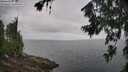 ./images/koeye/fitz-hugh/20260718/fitz-hugh20260718_112501M.jpg