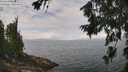 ./images/koeye/fitz-hugh/20260718/fitz-hugh20260718_122001M.jpg