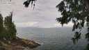 ./images/koeye/fitz-hugh/20260718/fitz-hugh20260718_123002M.jpg