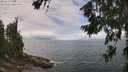 ./images/koeye/fitz-hugh/20260718/fitz-hugh20260718_125501M.jpg