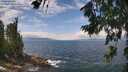 ./images/koeye/fitz-hugh/20260718/fitz-hugh20260718_131001M.jpg