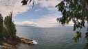 ./images/koeye/fitz-hugh/20260718/fitz-hugh20260718_133501M.jpg