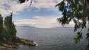 ./images/koeye/fitz-hugh/20260718/fitz-hugh20260718_134001M.jpg