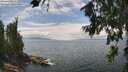 ./images/koeye/fitz-hugh/20260718/fitz-hugh20260718_134501M.jpg