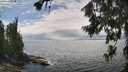 ./images/koeye/fitz-hugh/20260718/fitz-hugh20260718_140502M.jpg