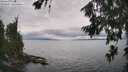 ./images/koeye/fitz-hugh/20260718/fitz-hugh20260718_142501M.jpg